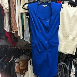 Calvin Klein Cobalt Blue Double-Breasted Dress